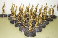 FILM AWARDS